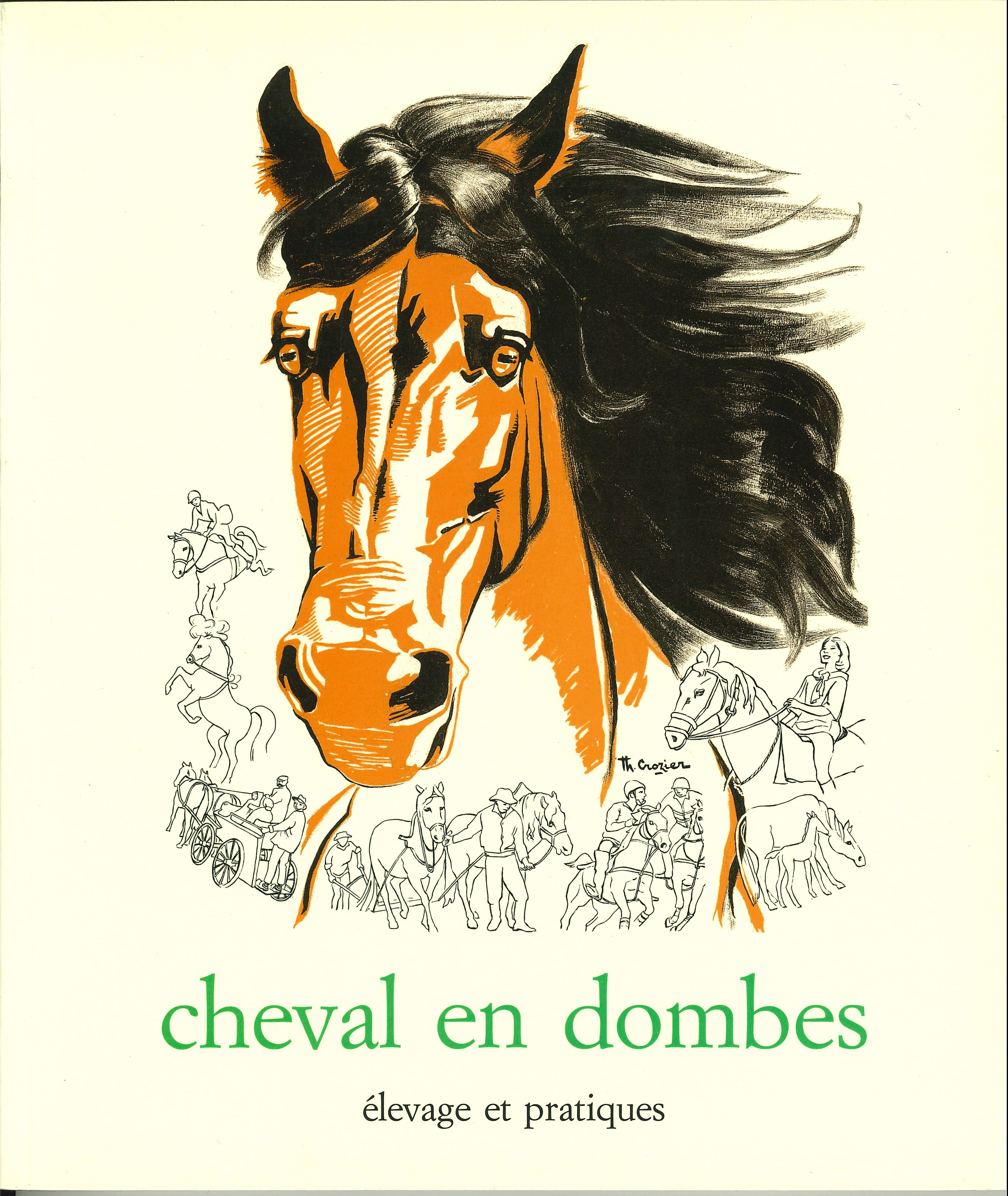 Cheval_en_Dombes_élevage_et_pratiques.jpg