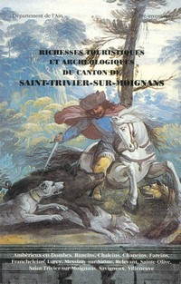 Richesses touristiques et archéologiques du canton de Saint Trivier sur Moignans