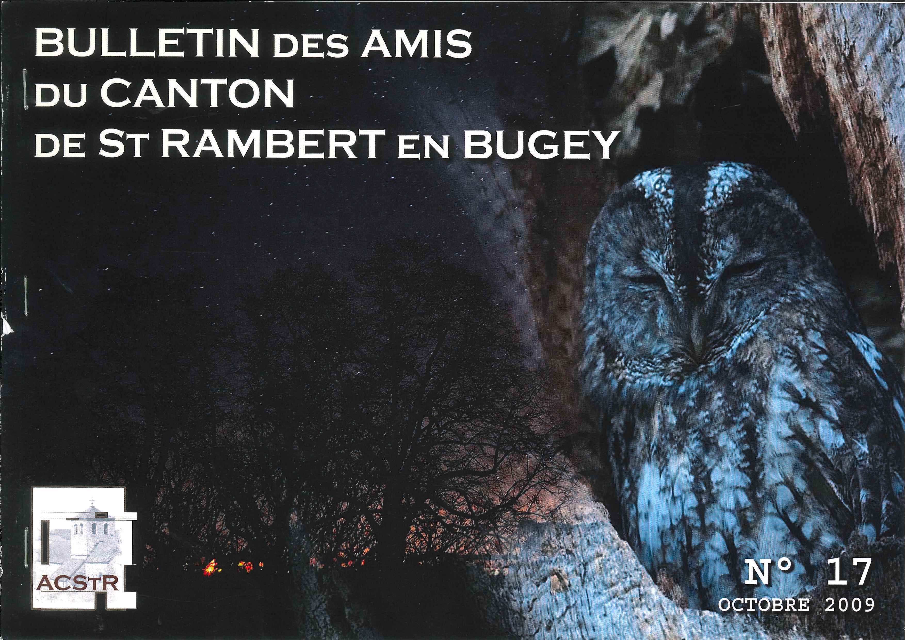 Bulletin des amis du canton de Saint Rambert en Bugey n17 