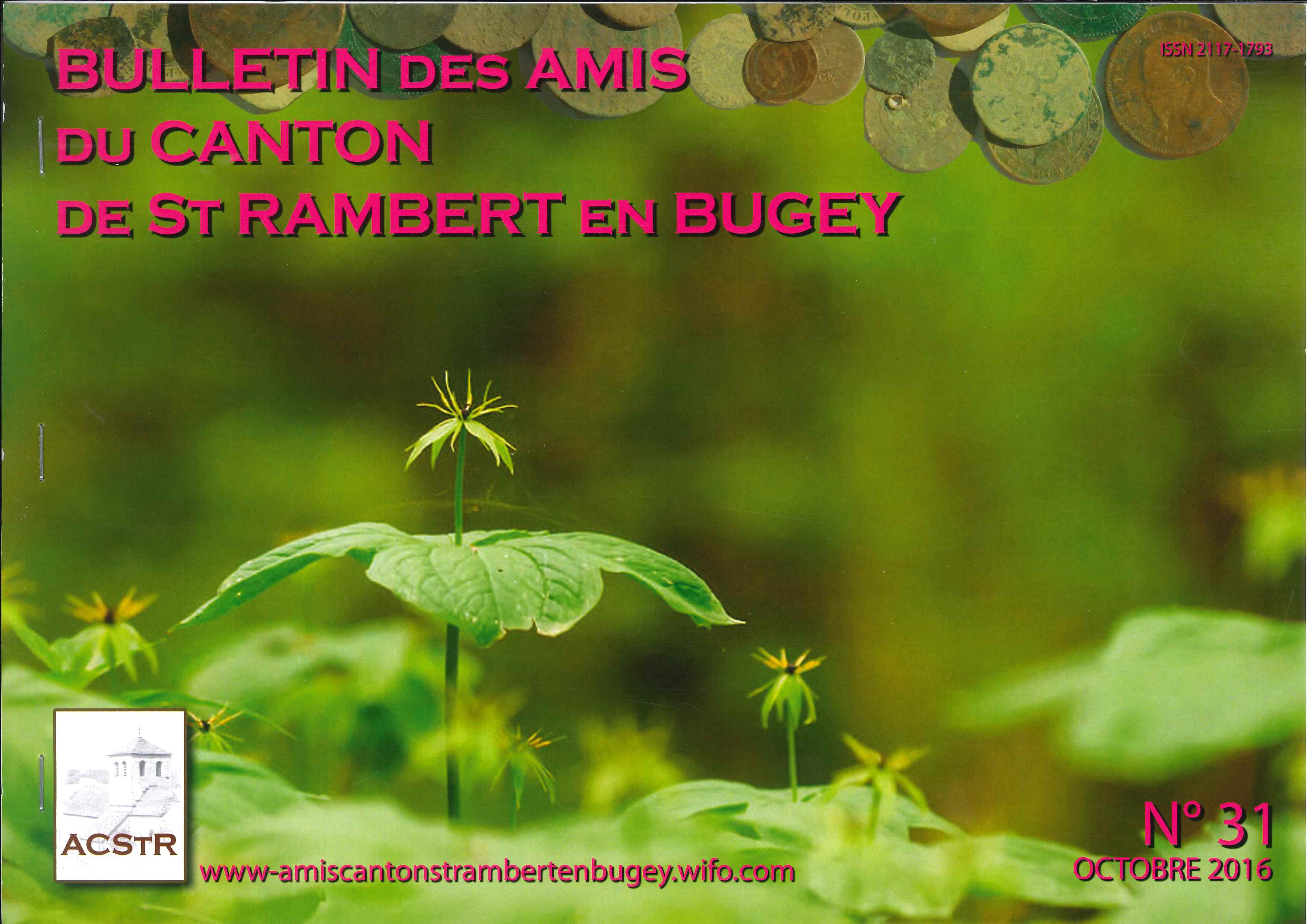 Bulletin des amis du canton de Saint Rambert en Bugey n31
