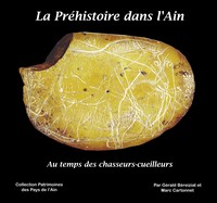 La préhistoire dans lain